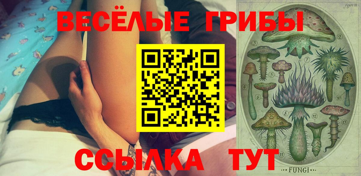 Борзя  Псилоцибиновые грибы мухоморы  Галлюциногенные грибы Psilocybine cubensis  Вход с VPN 