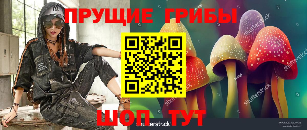 Галлюциногенные грибы MAGIC MUSHROOMS Борзя